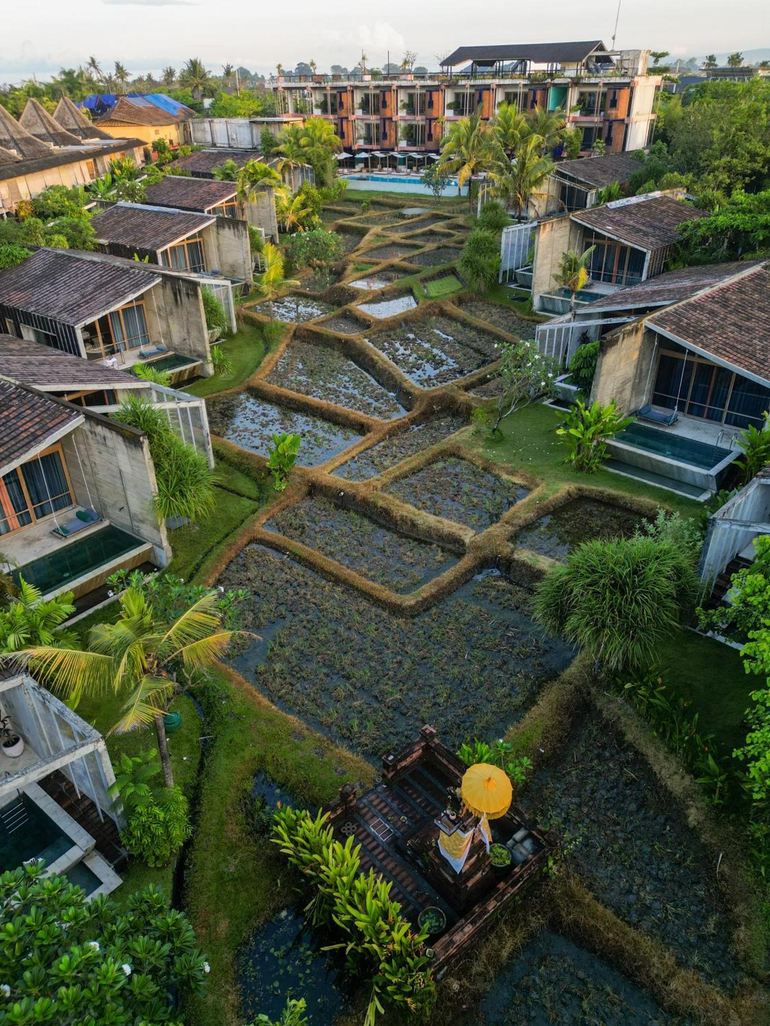 Shore Amora Canggu Exteriér fotografie